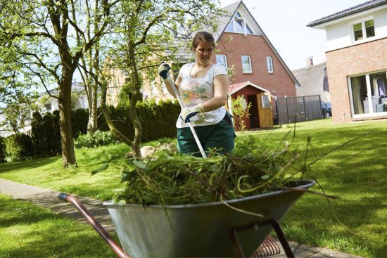 Garten_6